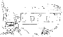Villa Rucellai Logo